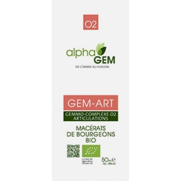 GEM-ART COMPLEXO Nº2