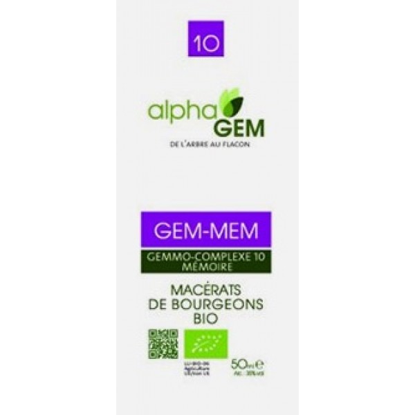 GEM-MEMO COMPLEXO Nº10