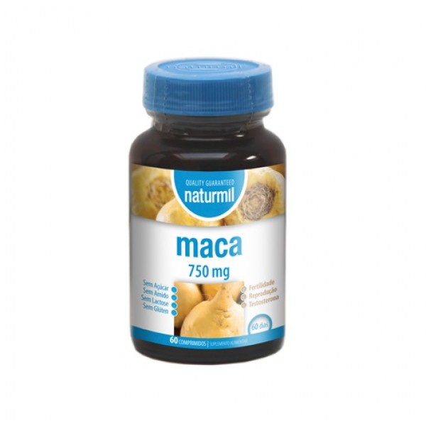 MACA