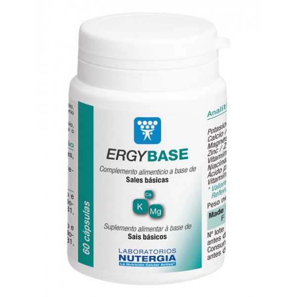 ERGYBASE